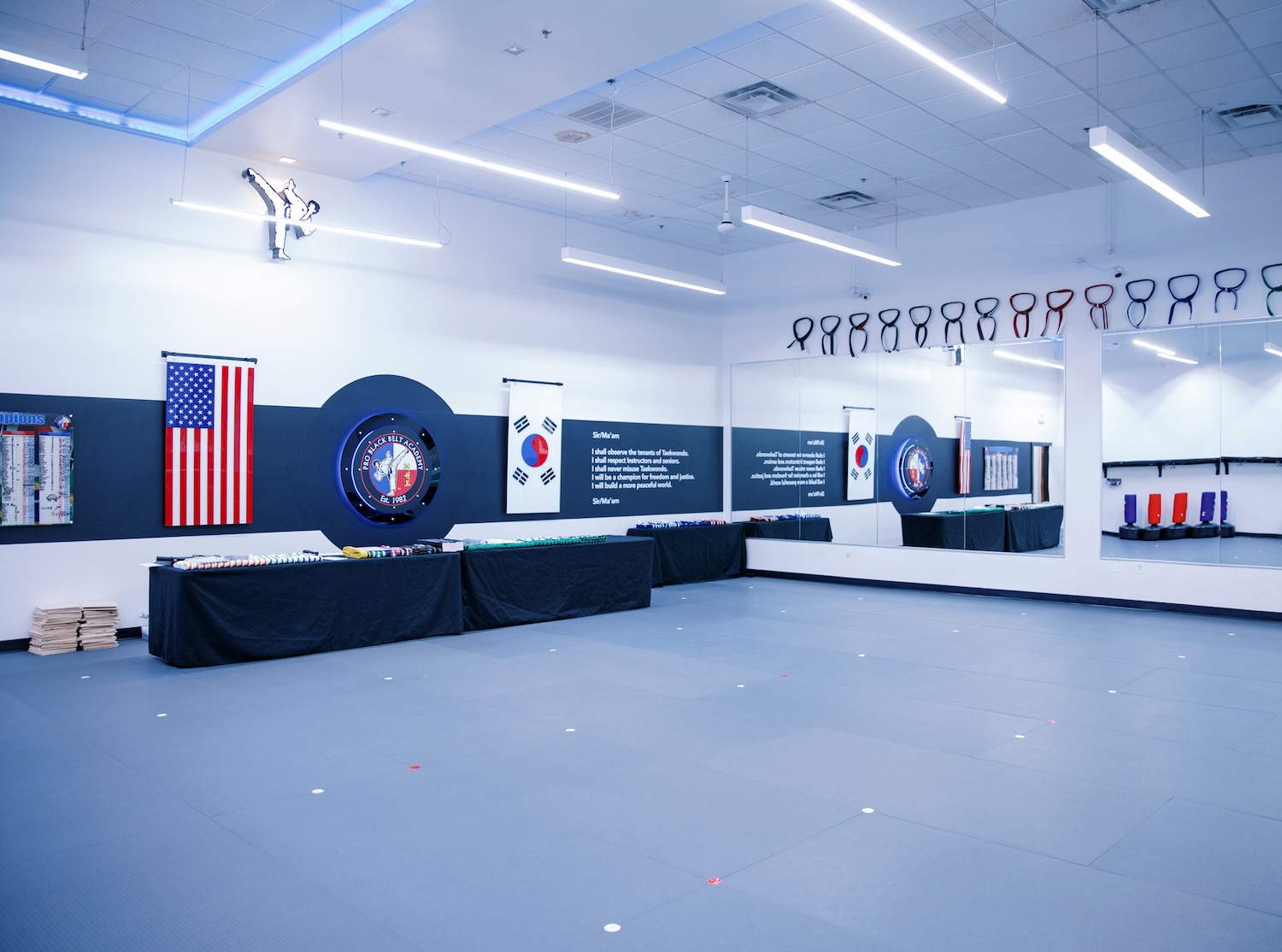 Professional Black Belt Academy - Fort Worth